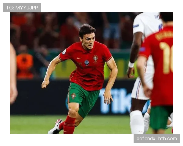 帕利尼亚：从边缘到主力的地位跃升解析